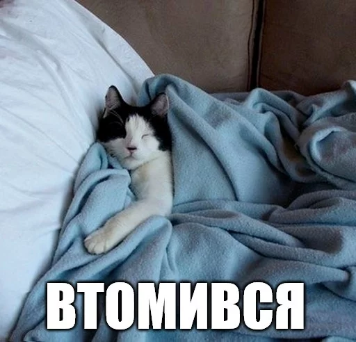 😴 Стикер «Коты-Украинцы» для Telegram