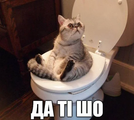 🙃 Стикер «Коты-Украинцы» для Telegram