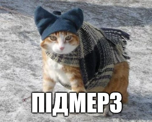 🧜‍♂ Стикер «Коты-Украинцы» для Telegram