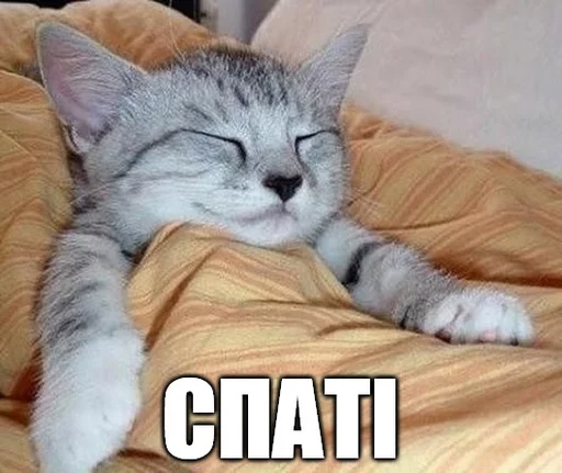 😴 Стикер «Коты-Украинцы» для Telegram
