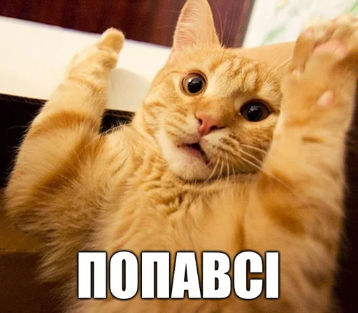 😧 Стикер «Коты-Украинцы» для Telegram