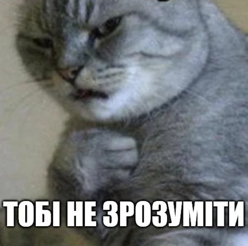 🐒 Стикер «Коты-Украинцы» для Telegram