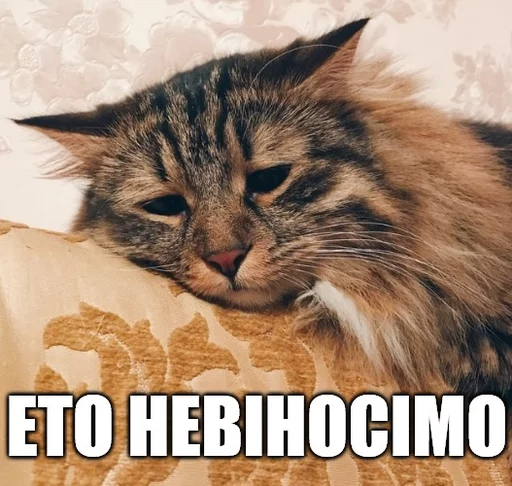 9⃣ Стикер «Коты-Украинцы» для Telegram
