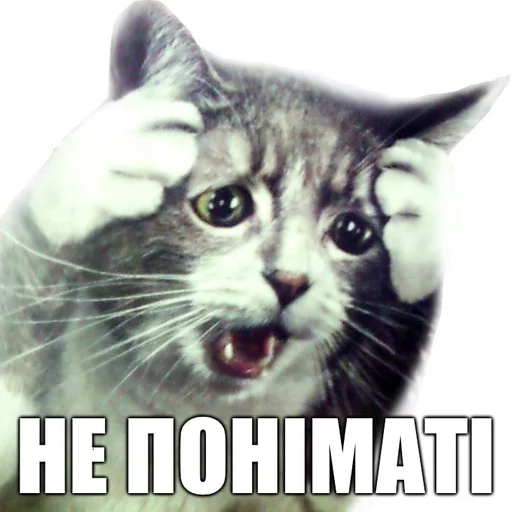 🚑 Стикер «Коты-Украинцы» для Telegram