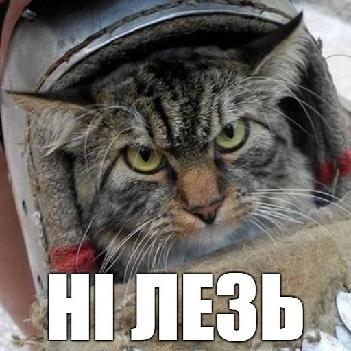 🎱 Стикер «Коты-Украинцы» для Telegram