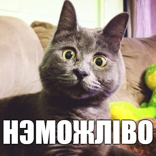 🧗‍♂ Стикер «Коты-Украинцы» для Telegram
