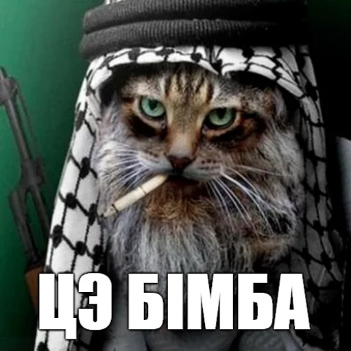 🎯 Стикер «Коты-Украинцы» для Telegram