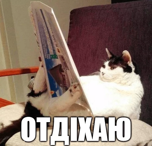 🚼 Стикер «Коты-Украинцы» для Telegram