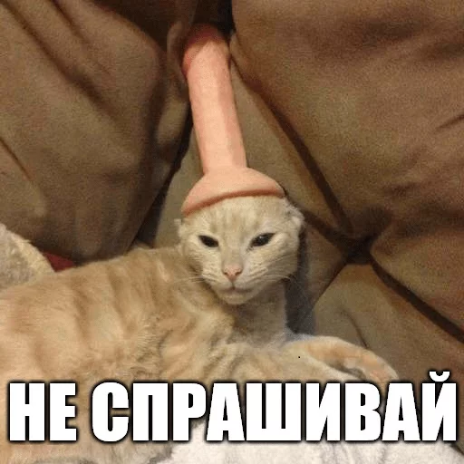 ⏹ Стикер «Коты-Украинцы» для Telegram