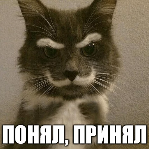 ✔️ Стикер «Коты-Украинцы» для Telegram