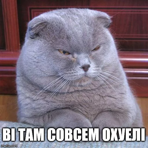 🌝 Стикер «Коты-Украинцы» для Telegram