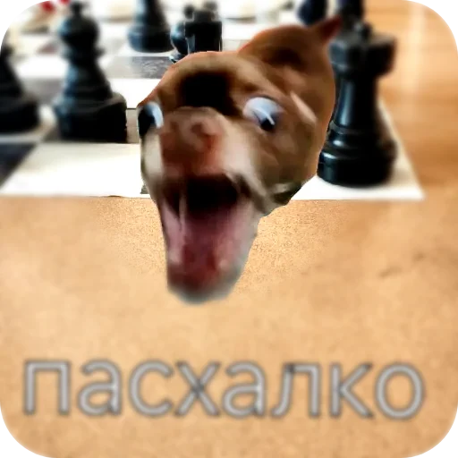 👍 Стикер «Sobaka3000» для Telegram
