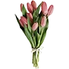 Стикер 52 Soft Aesthetic