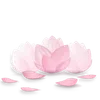 🪷 Эмодзи «ིྀ†Soft pink†ིྀ ⟣ ⟢ ༉» для Telegram