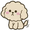 Стикер 29 Poodle