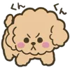 Стикер 17 Poodle