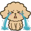 Стикер 11 Poodle