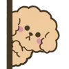 Стикер 16 Poodle