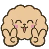Стикер 9 Poodle