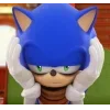 Стикер 51 Sonic