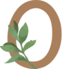 🌿 Эмодзи «Совушка - коричневые буквы, цифры, значки, таблички» для Telegram