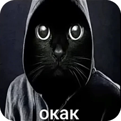 🖼 Стикер «Специально без Юза. Делал окак» для Telegram