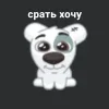 Стикер 36 Спотти Передоз