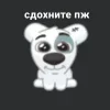Стикер 29 Спотти Передоз