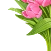 Стикер 9 Spring Woman