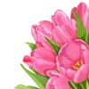 Обложка набора Spring Woman
