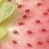 🤩 Эмодзи «⋆˚࿔ dividers ˚⋆» для Telegram
