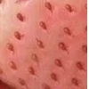 🤩 Эмодзи «⋆˚࿔ dividers ˚⋆» для Telegram