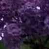 🤩 Эмодзи «⋆˚࿔ dividers ˚⋆» для Telegram