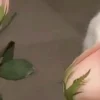 🤩 Эмодзи «⋆˚࿔ dividers ˚⋆» для Telegram