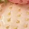 🤩 Эмодзи «⋆˚࿔ dividers ˚⋆» для Telegram
