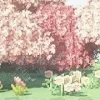 🤩 Эмодзи «⋆˚࿔ dividers ˚⋆» для Telegram