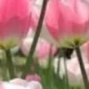 🤩 Эмодзи «⋆˚࿔ dividers ˚⋆» для Telegram