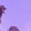 🤩 Эмодзи «⋆˚࿔ dividers ˚⋆» для Telegram