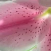 🤩 Эмодзи «⋆˚࿔ dividers ˚⋆» для Telegram