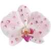 Стикер 60 Spring Dreams