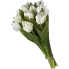 Стикер 4 Spring Dreams