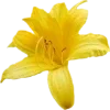 Стикер 57 Spring Dreams