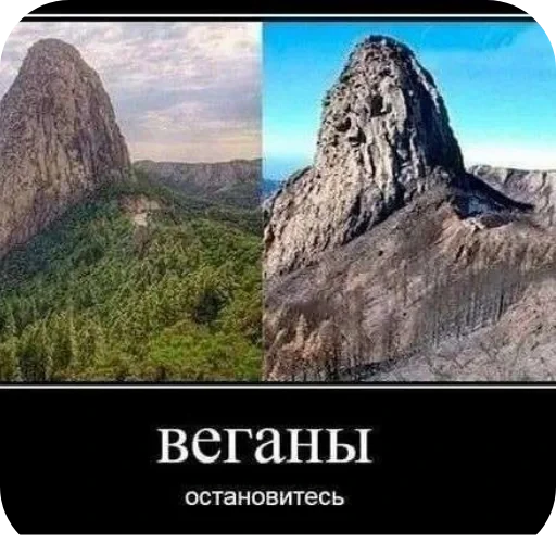 Стикерпак Wrenesseuse dreams епта для Telegram — скачать