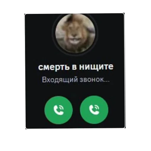 🐶 Стикер «Wrenesseuse dreams епта» для Telegram