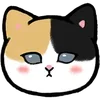 Стикер 43 ❤️ Cats - котики