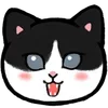 Стикер 42 ❤️ Cats - котики