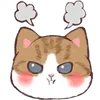 Стикер 32 ❤️ Cats - котики