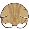 Стикер 6 ❤️ Cats - котики