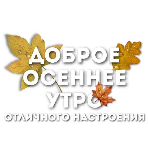 🍁 Стикер «Эмодзи и стикеры на заказ» для Telegram