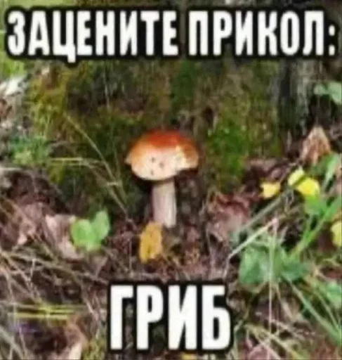 😮 Стикер «Парк3ры‍» для Telegram
